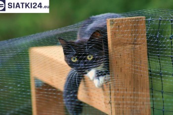 Siatki Leszno - Dobra siatka balkonowa - na ptaki i dla kota dla terenów Leszna